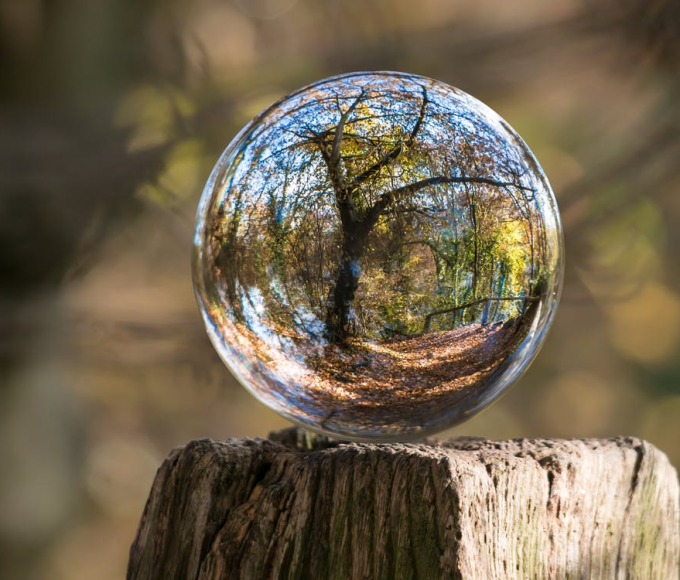 The Tree of Life: An Exploration of its Meaning and Stunning Jewelry Designs - Gthic.com