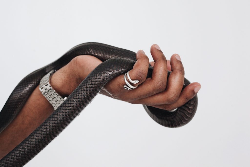 a man's hand with snake and snake ring