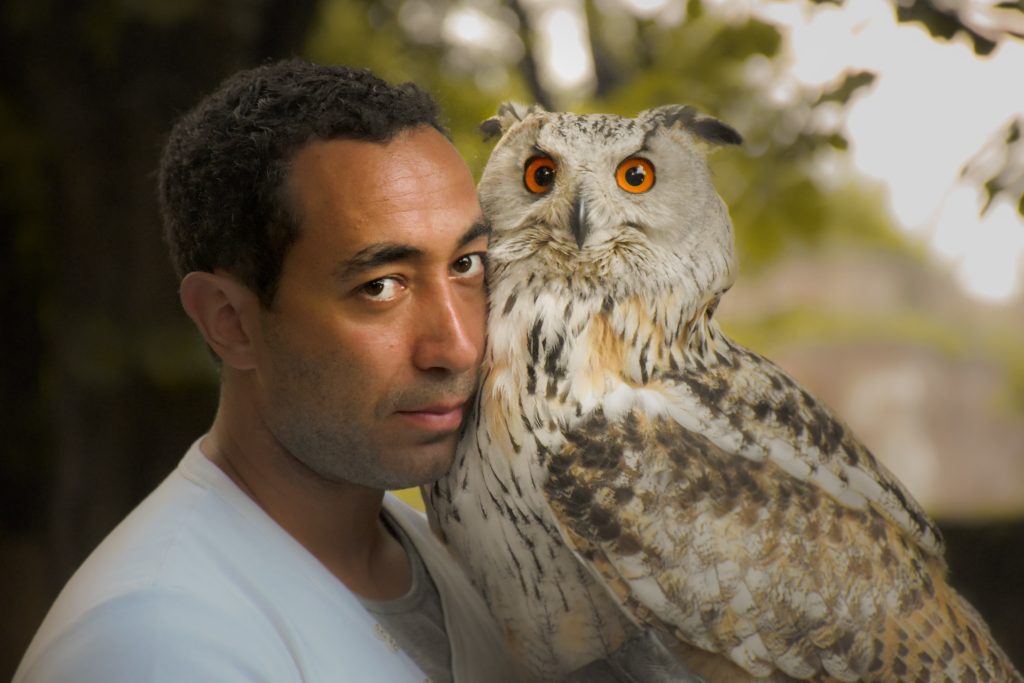 owl and human
