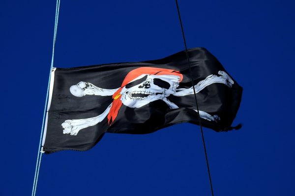 skulls and crossbones on the priate flag