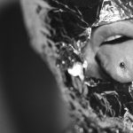 a man with tongue piercings