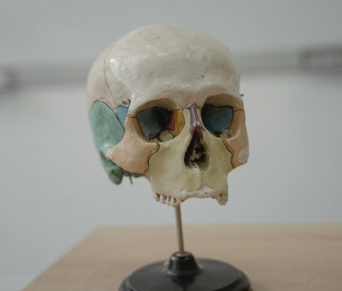 skull symbol